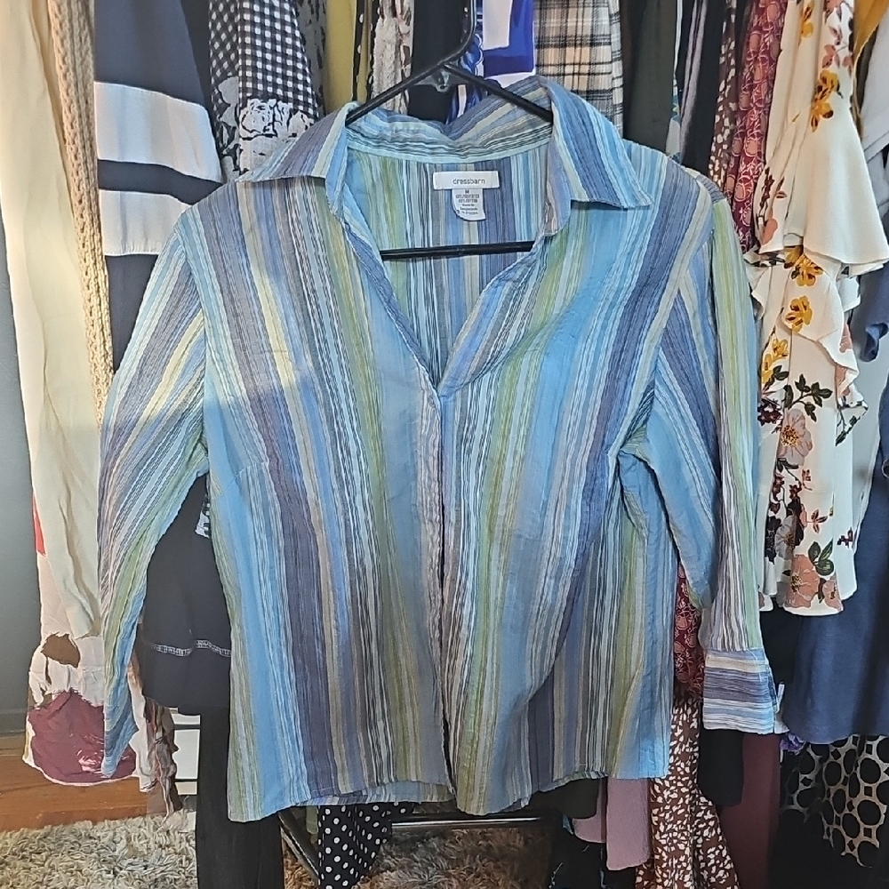 Dress Barn Blue and Green Striped Button Down Shirt